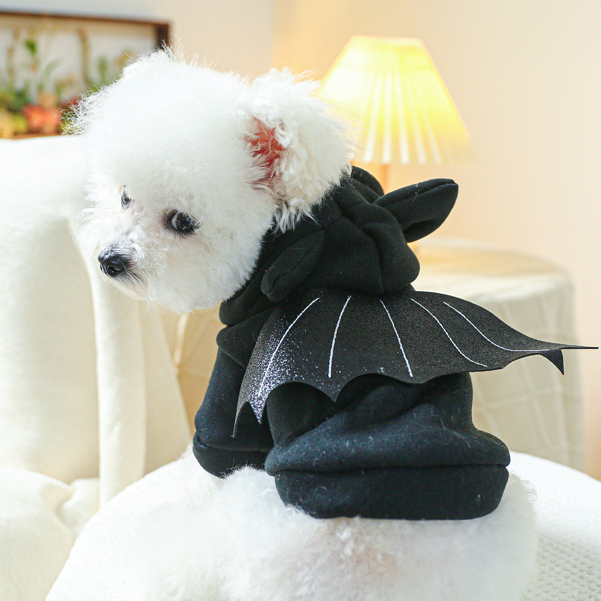 Bat Design Dog Hoodie