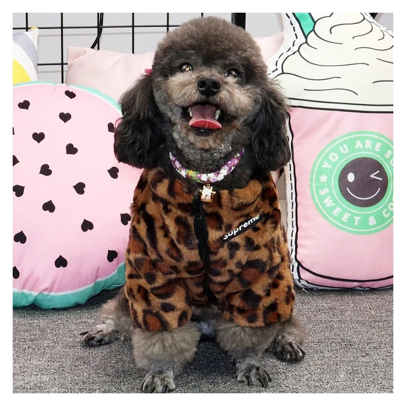 Leopard Dog Jacket