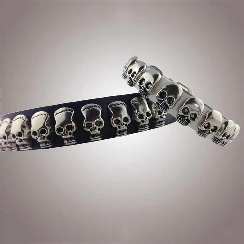 Skull Collar For Dogs