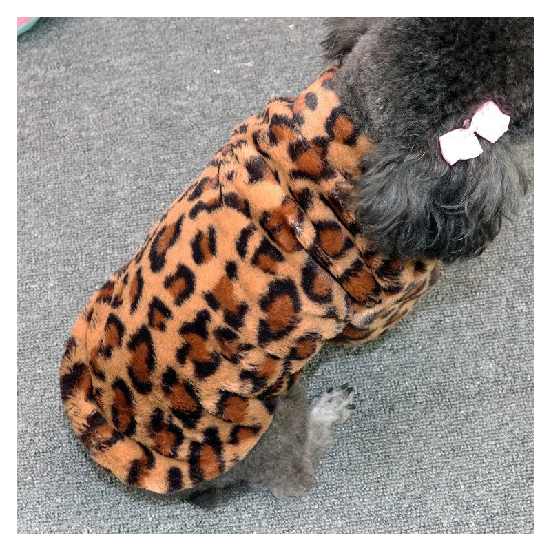 Leopard Dog Jacket