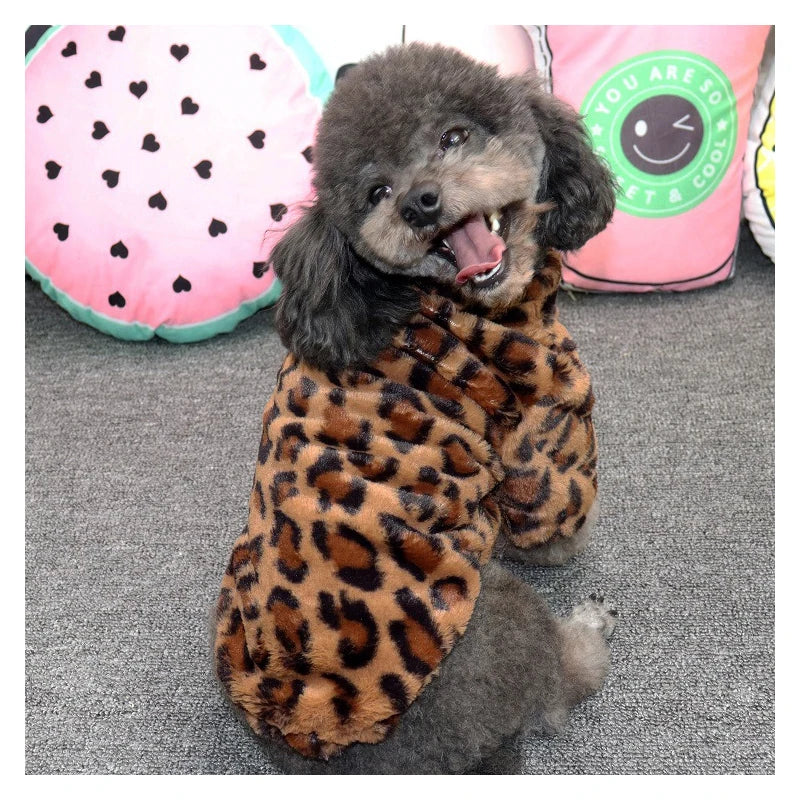 Leopard Dog Jacket