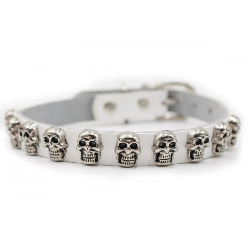 Skull Collar For Dogs