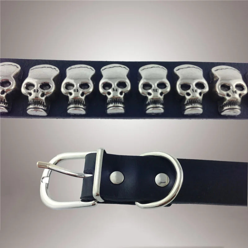 Skull Collar For Dogs